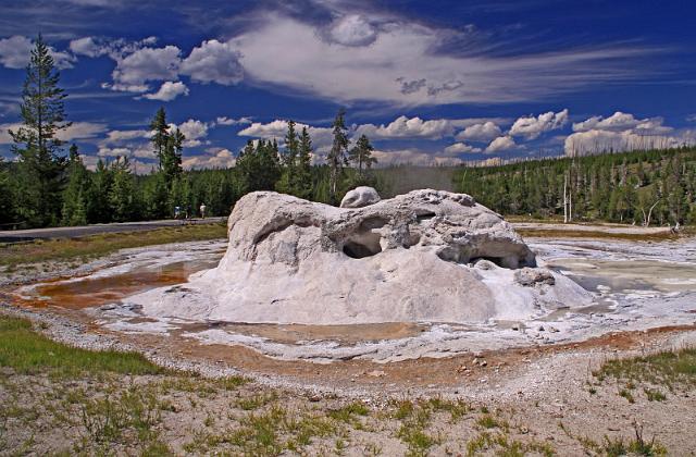 103 yellowstone, geyser hill, grotto geyser.JPG